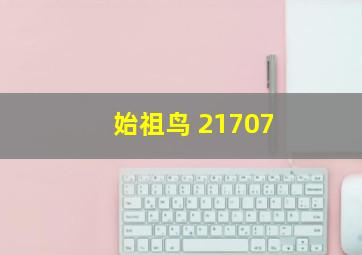 始祖鸟 21707